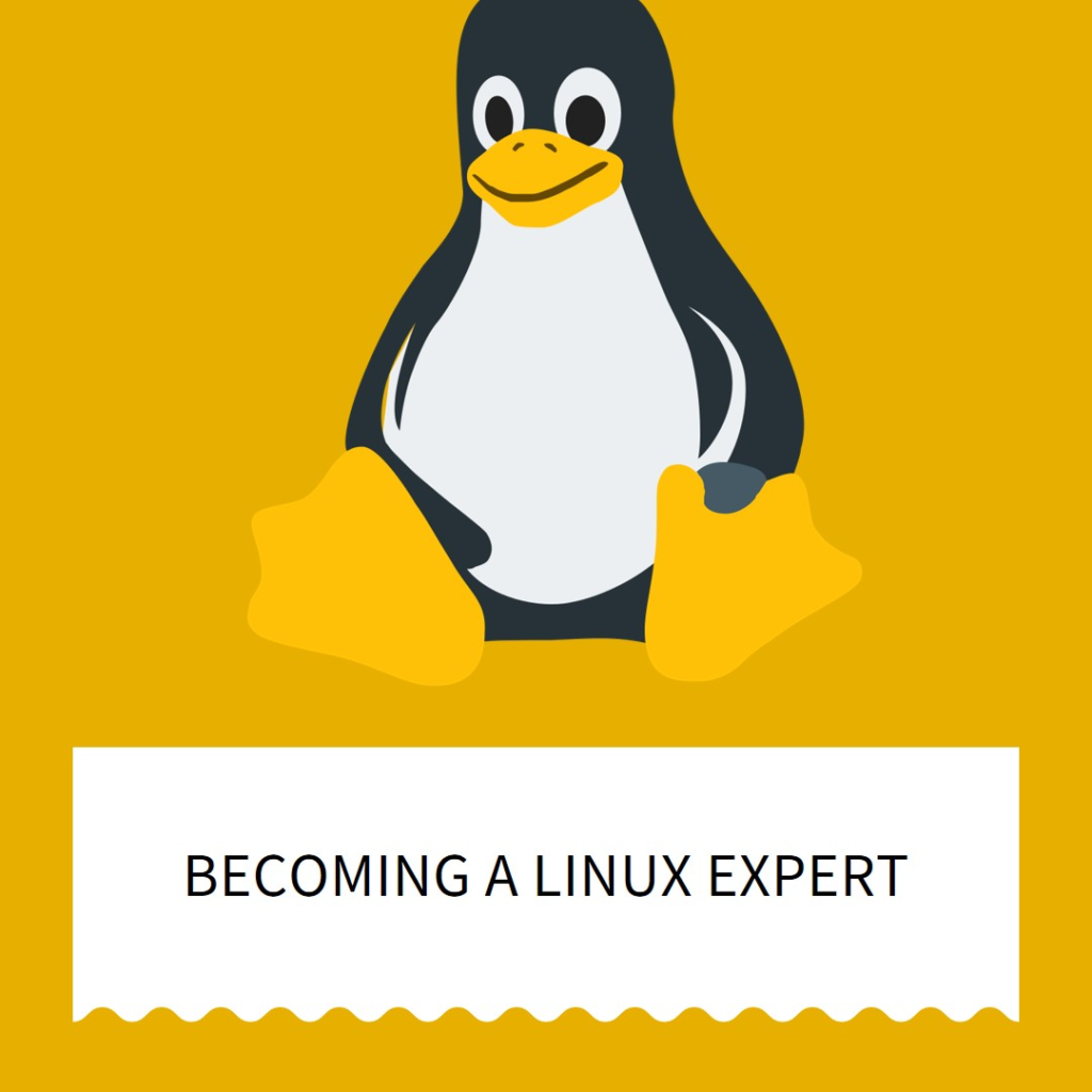 become a linux expert with DevCloudGeek